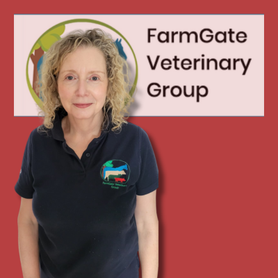 Image of Mary Lyons with Farmgate Logo in the background